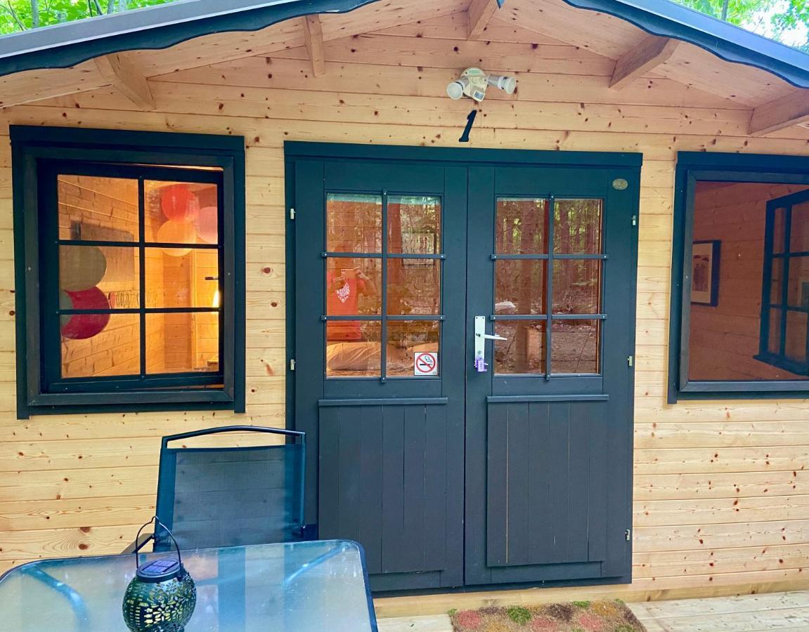 Algonquin Madawaska Lodge Cottage Glamping Cabins المظهر الخارجي الصورة