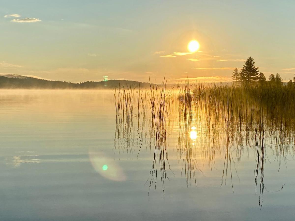 Algonquin Madawaska Lodge Cottage Glamping Cabins المظهر الخارجي الصورة